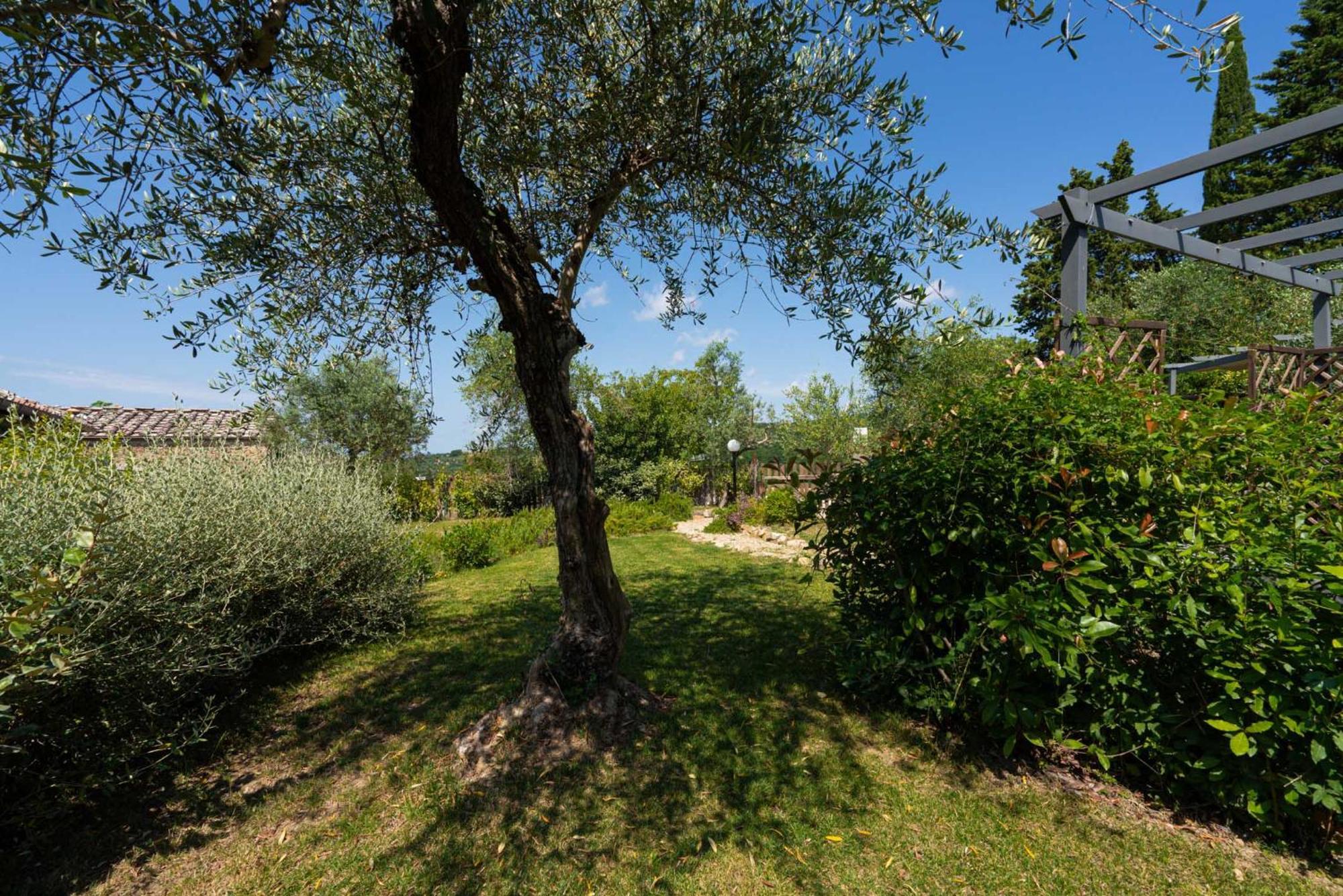 Casa Alta Lejlighed Greve in Chianti Eksteriør billede